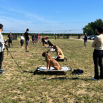 dog training boarding