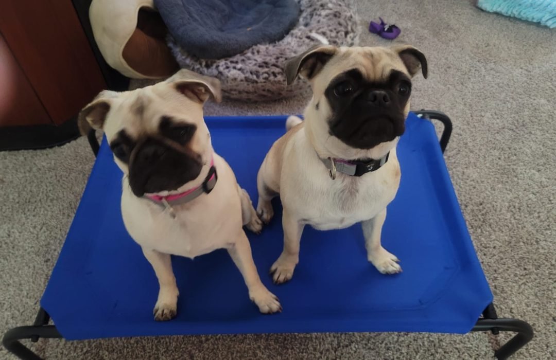 02cefe29-1e33-462e-bbe7-e40dd87eab7f (1)